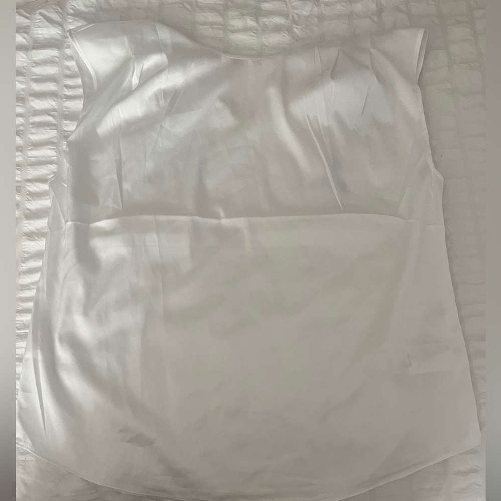 Silk shirt from express